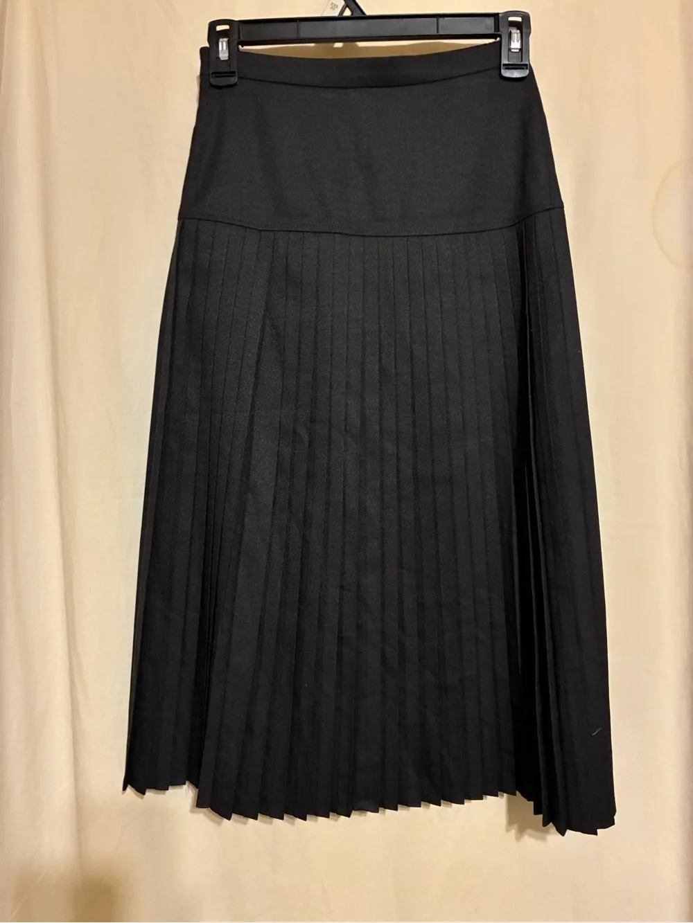 Celeste Collection Pleated Maxi Skirt